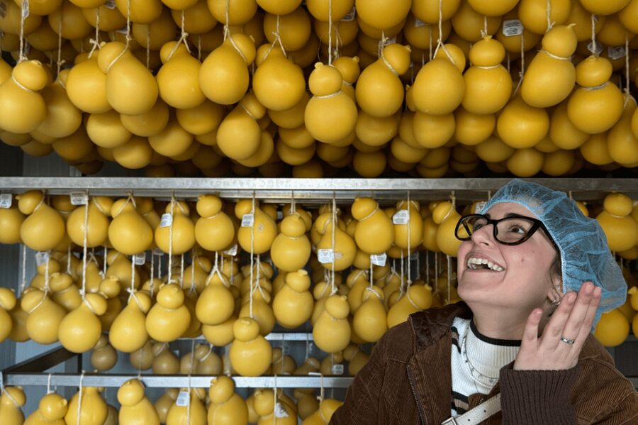 Martina Franca: Mozzarella and Pasta Workshop with Farm Tour - A Small-Group Farm-to-Table Day Outside Martina Franca