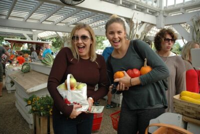 Mattituck Bike Wine Country and Fruit Orchard Tour - The 5-hour rhythm: how the day stays half-day friendly