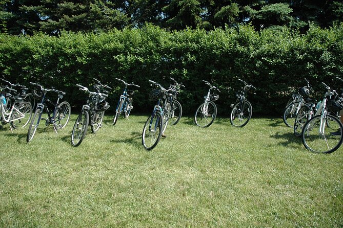 Mattituck Bike Wine Country and Fruit Orchard Tour - Stop by stop: vineyards, Peconic Bay, and the special access moment