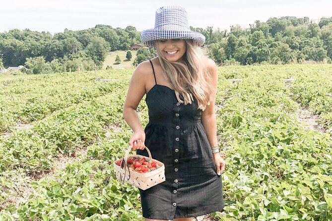 Mattituck Bike Wine Country and Fruit Orchard Tour - Farm stand, pies, jam, cider: the North Fork food you can bring home