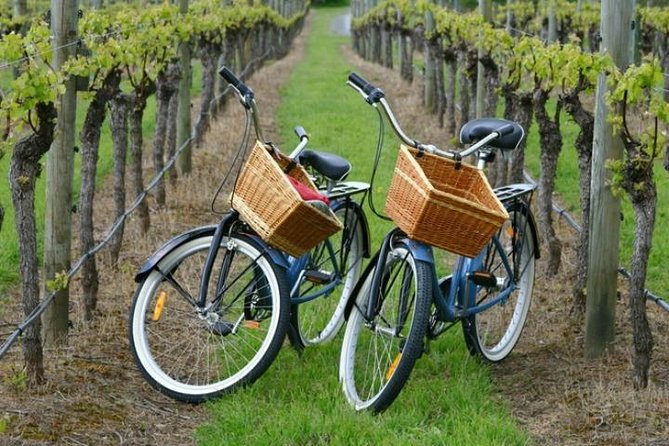 Mattituck New York Guided Farm and Wine Country Bike Tour - Quick Takeaways