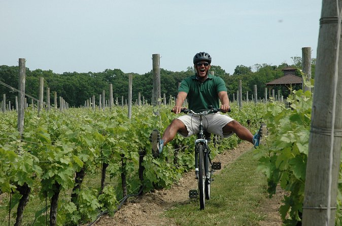 Mattituck New York Guided Farm and Wine Country Bike Tour - The Farm Stand Stop: North Fork Classics for Real Snacking