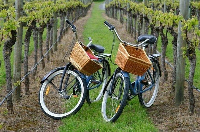 Mattituck New York Guided Farm and Wine Country Bike Tour - Value Check: Is $139.99 a Good Deal for This North Fork Day?