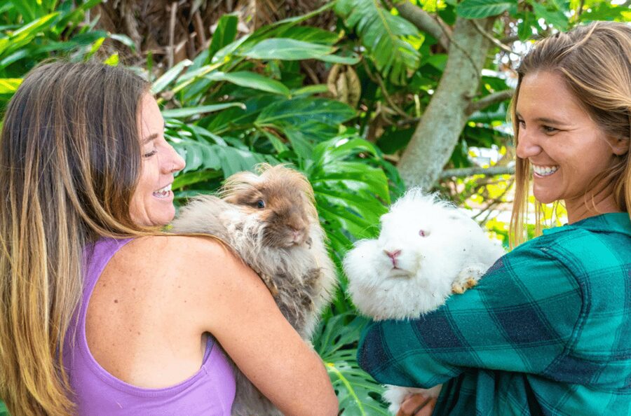 Maui: Alpaca Farm Visit with Hands-On Activities - Guide Quality: Friendly, Fast, and Especially Good with Kids