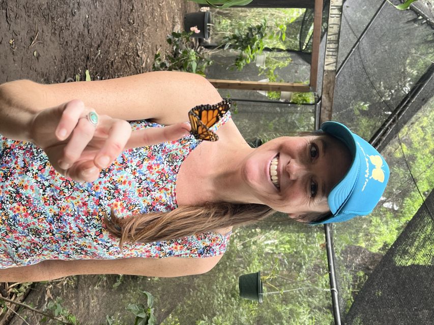 Maui: Interactive Butterfly Farm Entrance Ticket - Should You Book the Maui Butterfly Fly Farm Entrance Ticket?