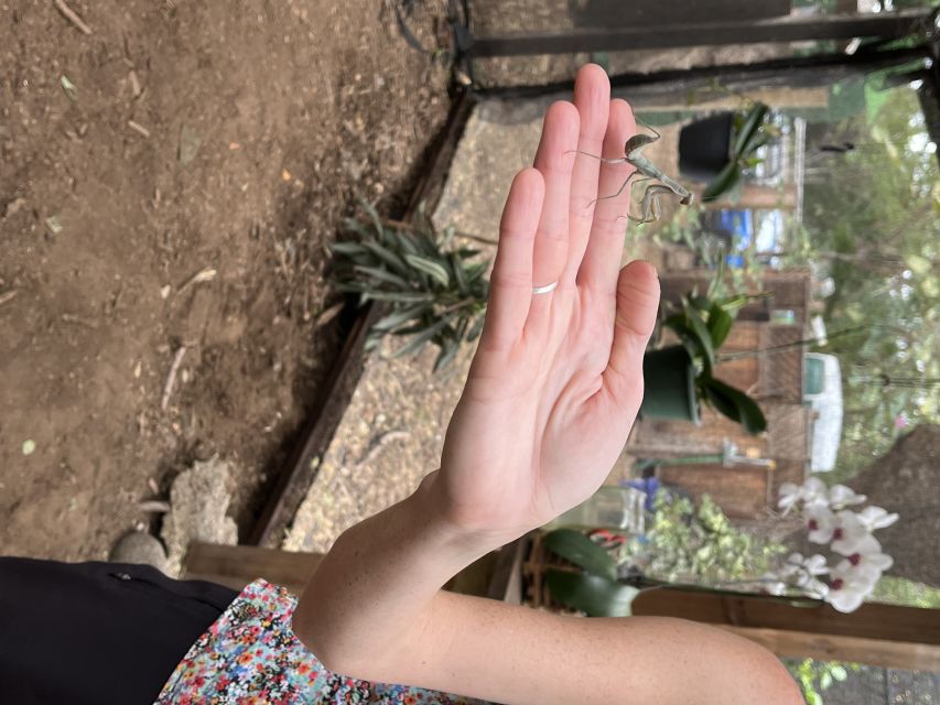 Maui: Interactive Butterfly Farm Entrance Ticket - Practical Tips That Make the Tour Go Smoothly
