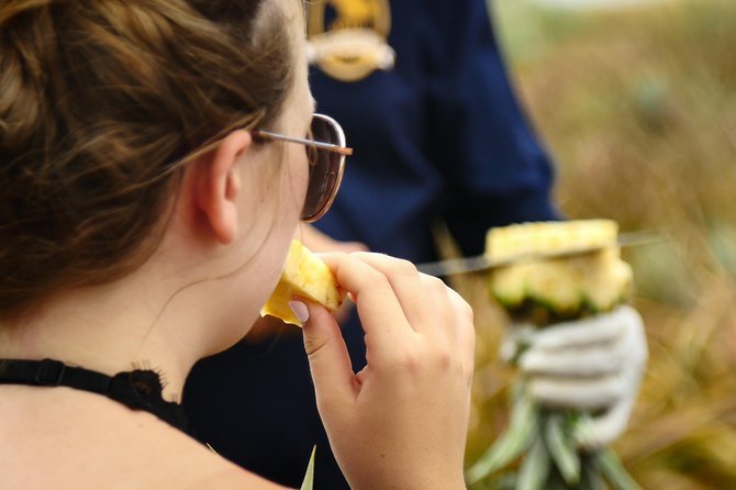 Maui Pineapple Farm Tour in Haliimaile - Guides that make the farm feel personal