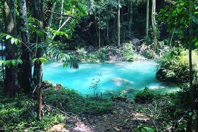 Mayfield Falls, Blue Hole & Rick's Café Tours/Weed Farm option - Stop 2: Blue Hole Mineral Spring and the 22-foot moment