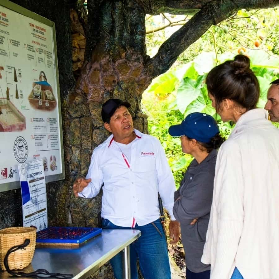Medellin: Coffee Farm and Barista Workshop Experience - From Arví Park to the barista lab in Medellín