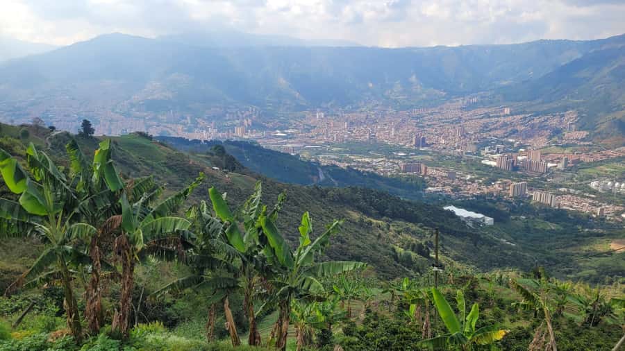 Medellin: Coffee Farm Tour & Spa with Overnight Glamping - Night One: Fire Pit City Views, BBQ, and the Glamping Coffee Cave