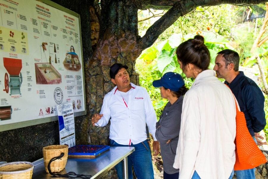 Medellin: Coffee Farm Tour & Spa with Overnight Glamping - Breakfast and the Coffee Cultivation Walk: Seed to Cup Starts Early