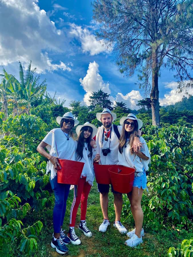 Medellín Coffee Farm Tour with Trolley and Cable Car Ride - Key highlights you’ll feel the moment you start