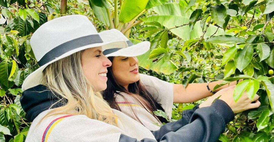 Medellín Coffee Farm Tour with Trolley and Cable Car Ride - Should you book it?