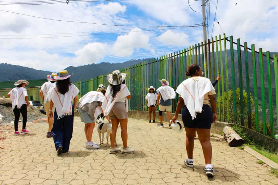 Medellín Coffee Farm Tour with Trolley and Cable Car Ride - Seed-to-cup coffee in Medellín: what you learn and what you taste