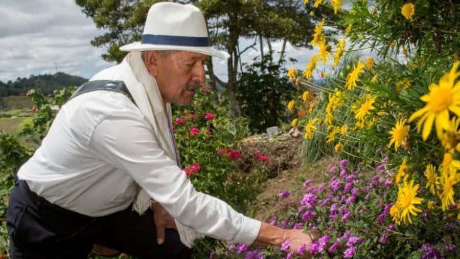 Medellín: Flower Farm & Silletero History Tour - Key things to know before you go