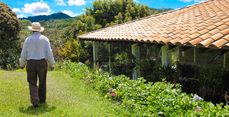 Medellín: Flower Farm & Silletero History Tour - Estate visit: where the flower festival magic gets constructed