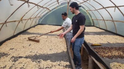 Medellin: Guatape, El Peñol Coffee Farm Private Tour & Fruit - Marinilla fruit tasting: the Antioquia flavor warm-up