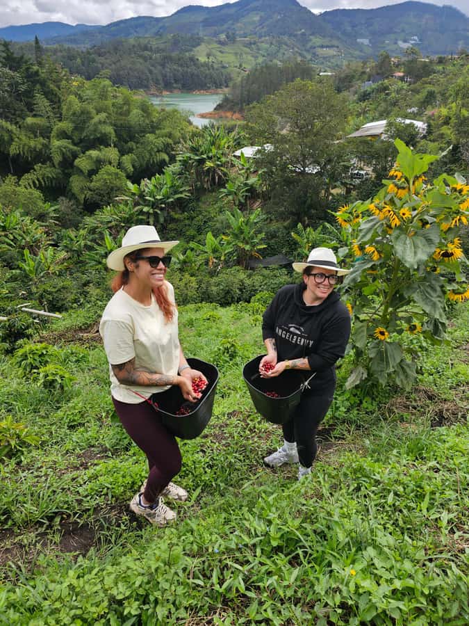 Medellin: Guatape, El Peñol Coffee Farm Private Tour & Fruit - El Peñol rock climb: the workout with a big view payoff