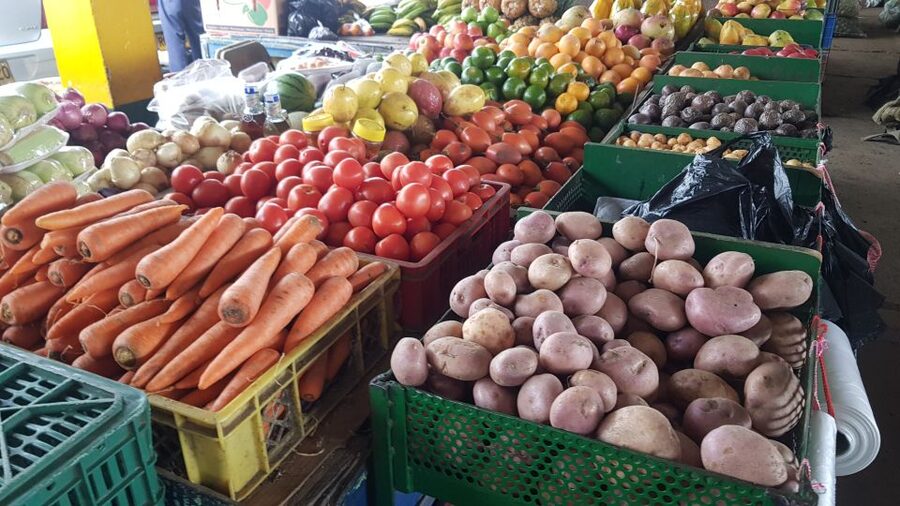Medellin: Guatape, El Peñol Coffee Farm Private Tour & Fruit - Guatapé walking tour: colored streets, easy exploration