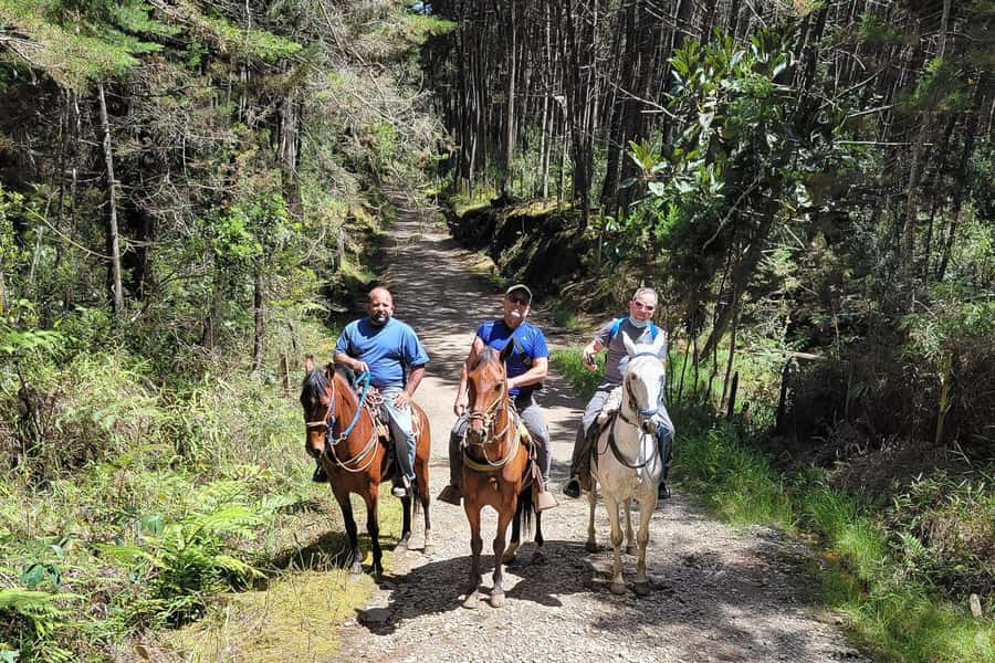 Medellin: Horseback Riding Coffee Farm Tour with Coffee Spa - The 35-minute horseback ride along an old muleteer path
