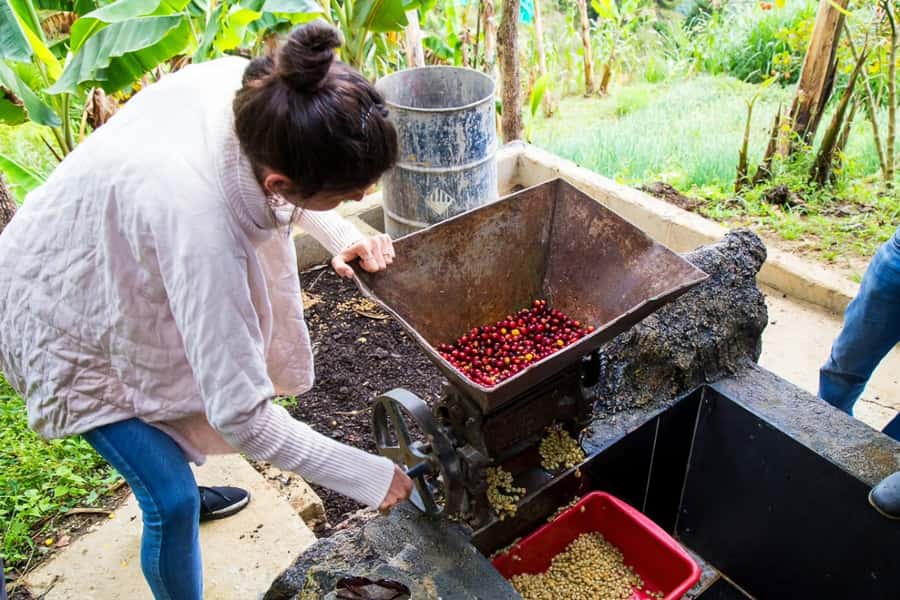 Medellin: Horseback Riding Coffee Farm Tour with Coffee Spa - Price and value: is $150 fair for Medellín?