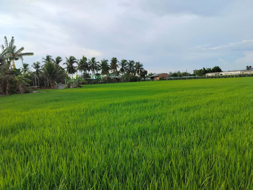 Mekong Delta Day Trip: Explore Cycling & Cook Classes Farm - Morning Pickup and the Ride Toward Bến Lức–My Tho