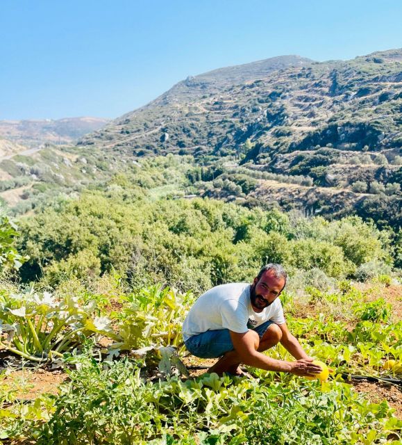 Melanes: Naxos Perivoli Farm & Cooking Class with Wood Fire - Practical tips for your best day on the farm