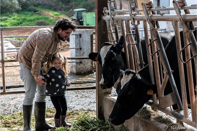 Menorca: Cheesemaking and Farm-Fresh Product Tasting - Key Things to Know Before You Go
