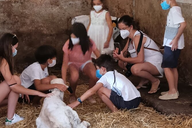 Menorca: Cheesemaking and Farm-Fresh Product Tasting - How Mahon-Menorca Cheese Making Works (what you’ll actually do)