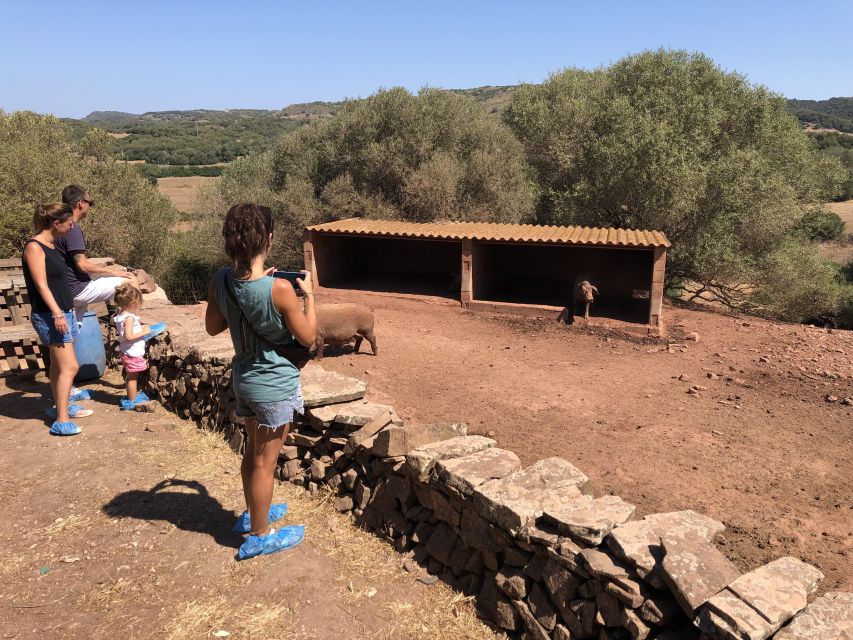 Menorca: Cheesemaking and Farm-Fresh Product Tasting - The guide experience: Ivan, English/Spanish, and a tour that explains