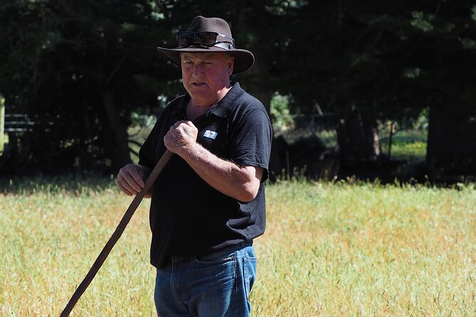 Merino Farm Experience - Time, group size, and how this tour feels in practice