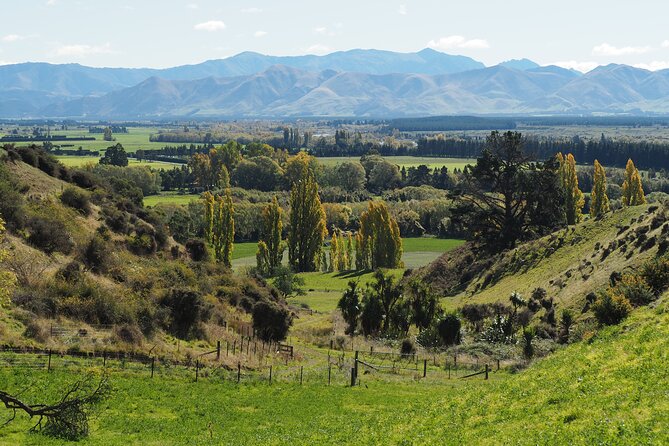 Merino Farm Experience - Your guide and the family-feel on this working property