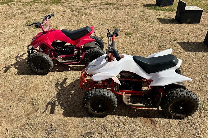 Mini ATVs and Farm Animal Experience - Key things to know before you go