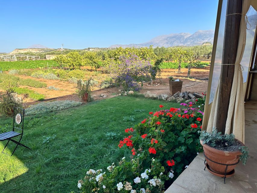 Moires: Cooking Class and Olive Oil Tasting at a Family Farm - Price and what you’re truly paying for at $100