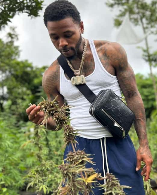 Montego Bay: Cannabis Farm, Bamboo Rafting, & Foot Massage - Transfer and Timing: How the Day Starts and Why It’s Worth It