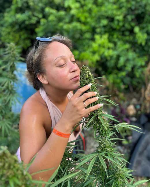 Montego Bay: Marijuana Farm and Bird Sanctuary Tour - Key Highlights You’ll Actually Care About