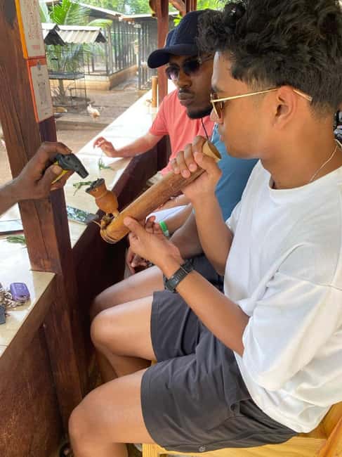 Montego Bay: Marijuana Farm and Bird Sanctuary Tour - Montego Bay Pickup, Private Ride, and the 3-Hour Reality