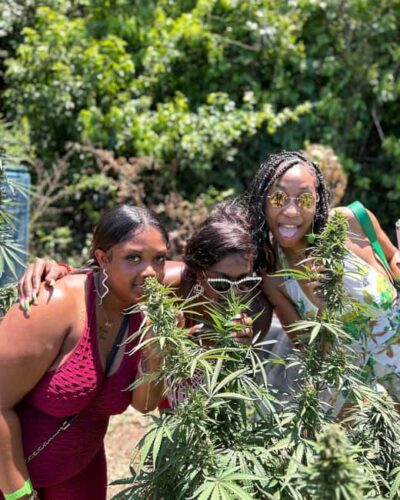 Montego Bay: Marijuana Farm and Bird Sanctuary Tour - Herb Farm Nursery: Touch, Smell, and the Seed-to-Sale Story