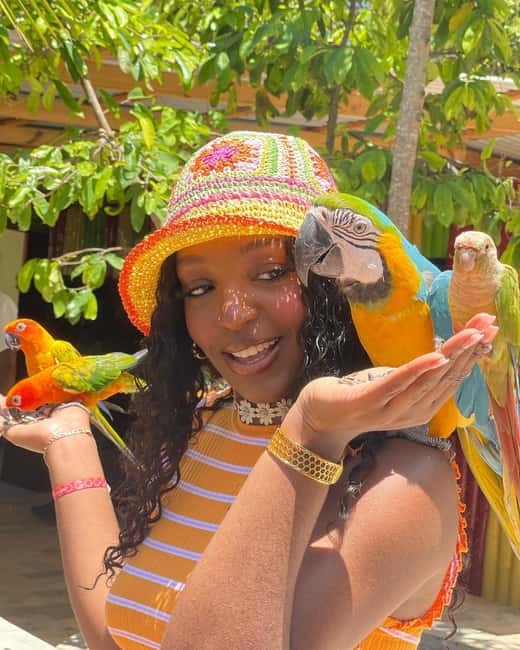 Montego Bay: Marijuana Farm and Bird Sanctuary Tour - Who This Tour Fits Best (and Who Might Prefer Something Else)