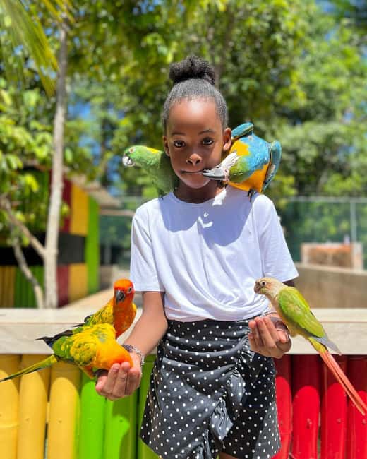 Montego Bay: Marijuana Farm and Bird Sanctuary Tour - Should You Book This Tour?