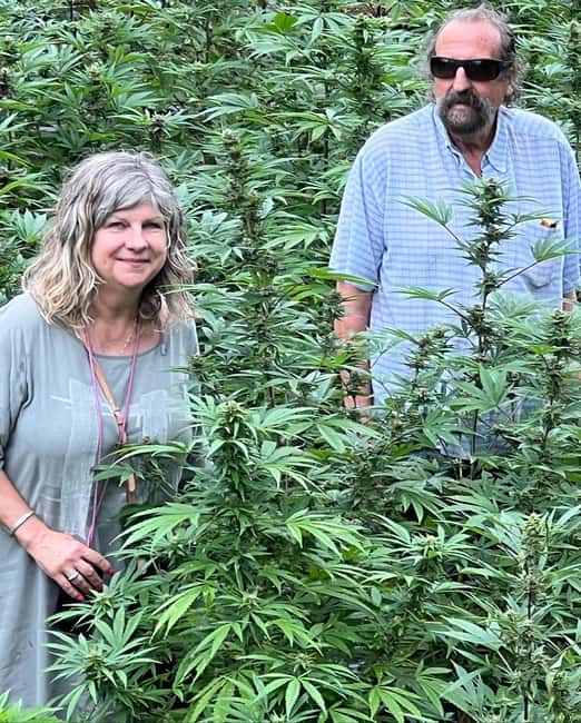 Montego Bay: Marijuana Farm Private Tour with Transportation - Key points before you go