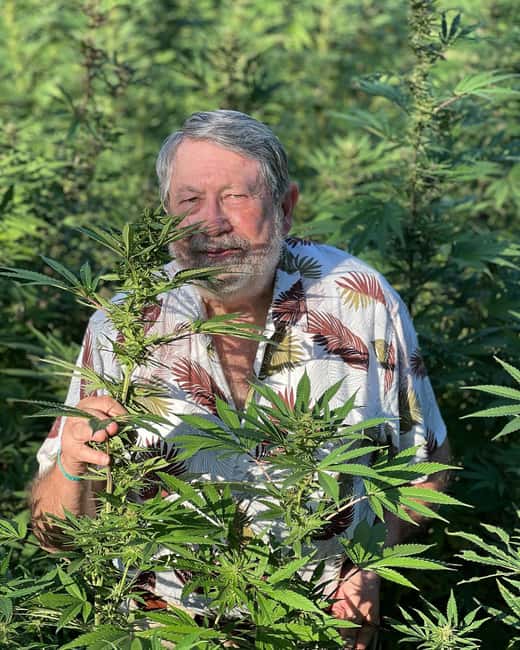 Montego Bay: Marijuana Farm Private Tour with Transportation - How the Montego Bay marijuana farm tour works in 1 to 2 hours
