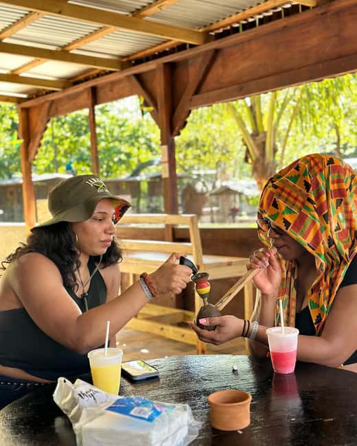 Montego Bay: Marijuana Farm Private Tour with Transportation - The farm tour itself: what you’ll actually see on the plants