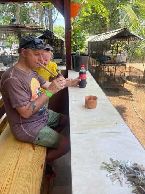 Montego Bay: Marijuana Farm Private Tour with Transportation - Who runs the show: guides, drivers, and the vibe factor