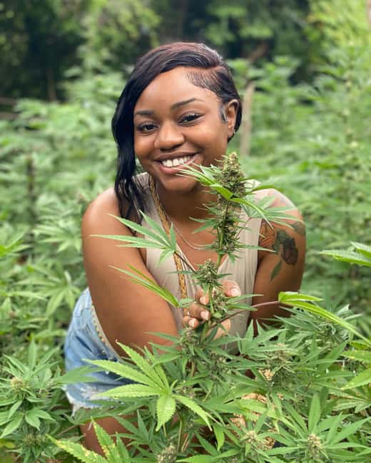 Montego Bay Marijuana Farm Tour - Key Highlights You’ll Care About on This Montego Bay Farm Tour