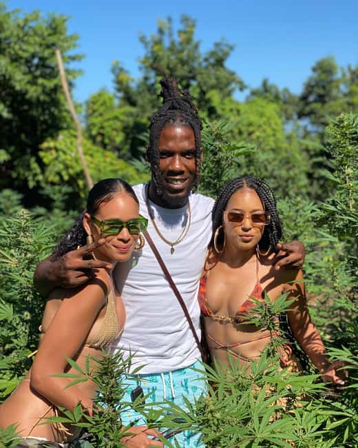 Montego Bay Marijuana Farm Tour - Roadside Stops and What to Do With Them