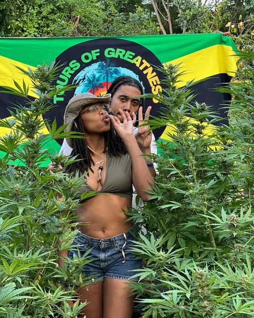 Montego Bay Marijuana Farm Tour - Montego Bay Marijuana Farm Tour in Cornwall County: What You’re Actually Booking