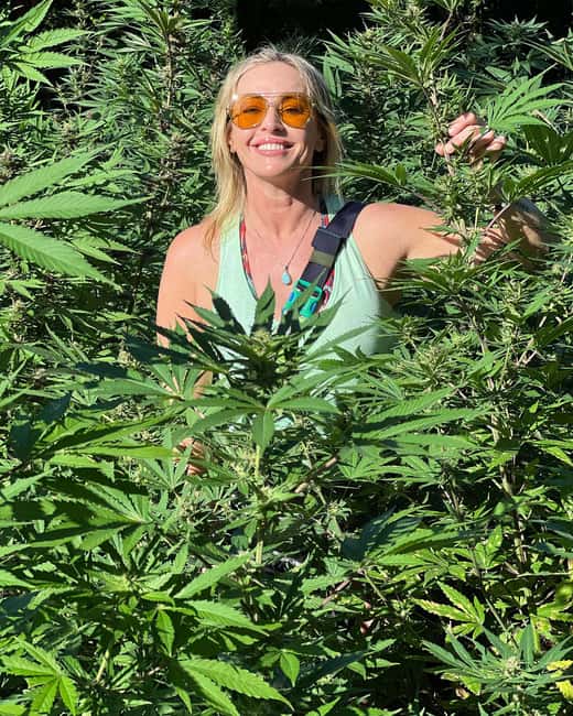 Montego Bay Marijuana Farm Tour - Seeding to Harvest: The Farming Lesson You Can Actually Use