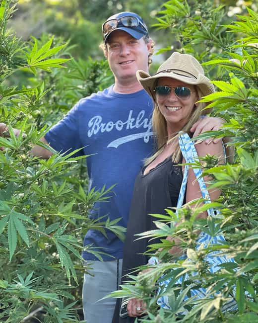 Montego Bay Marijuana Farm Tour - Photos, Plant Stage, and the Reality Check on What You’ll See