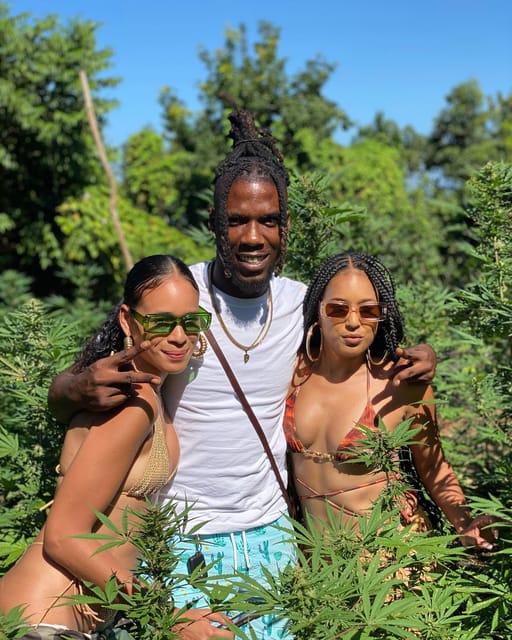 Montego Bay Marijuana Farm Tour - Rastafari and Medicinal Angle: Why the Guide Talk May Surprise You